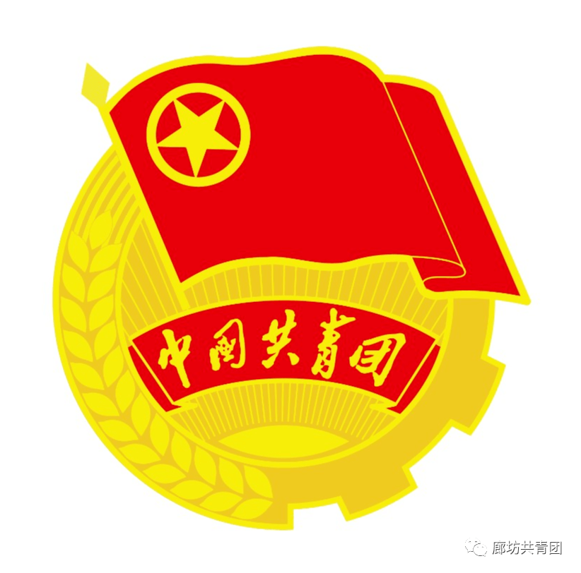 2022年是中国共青团成立100周年