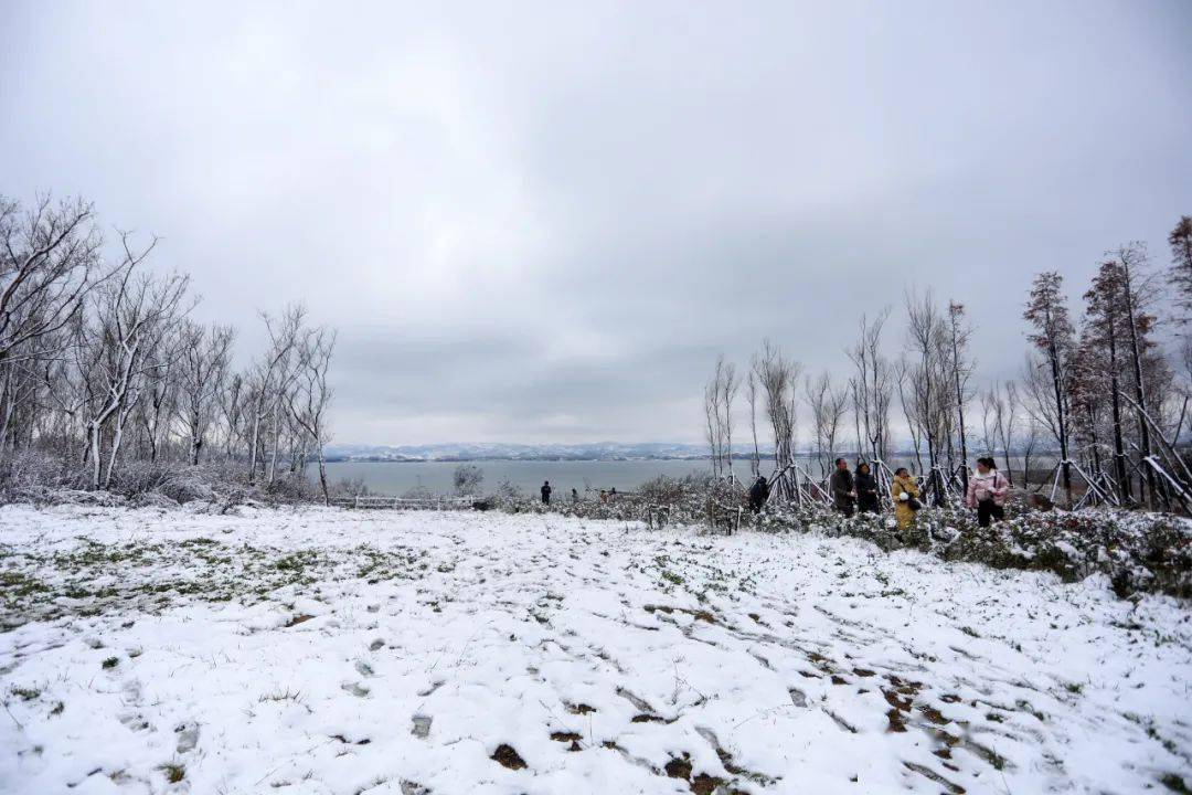 天气预报没有"放鸽子,威宁下雪了!_雪景_毕节市_雨雪