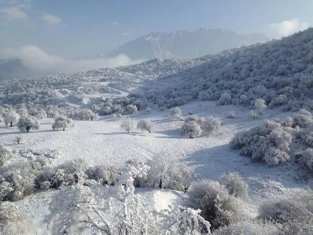 一,这里是南方最温暖的滑雪场,更是成都周边不可多得的滑雪及旅游度假