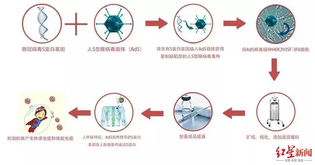 接种|中国首款“只打一针”新冠疫苗即将上市，“重症保护率高达96%”