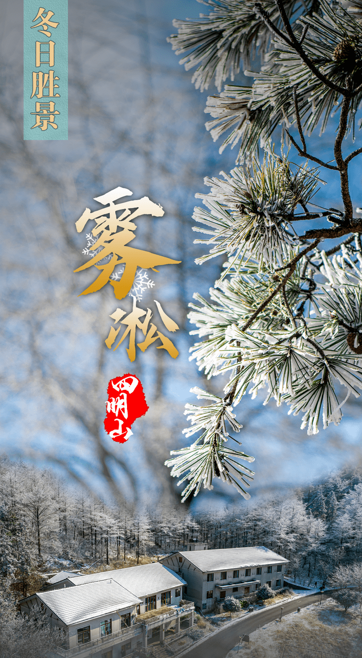 "忽如一夜春风来,千树万树梨花开".四明山雾凇,足以惊艳全世界.