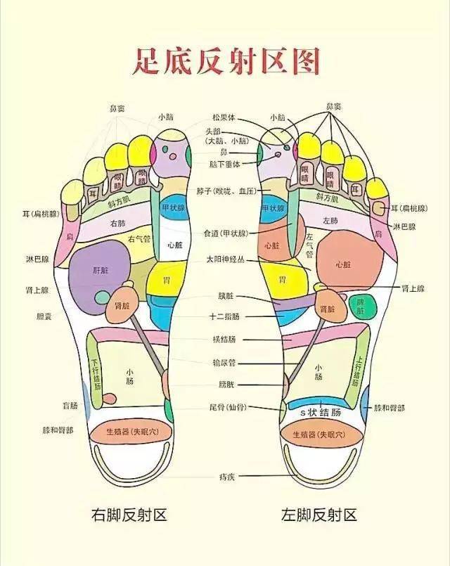 寒从脚下起,病从脚底除!_脚趾_眼睛_治疗