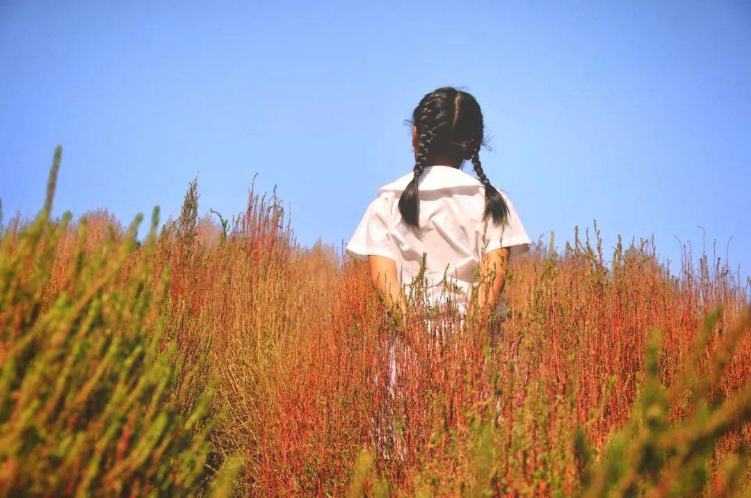 第八届人与自然科普摄影大赛辰山植物园打卡活动网络评选来啦