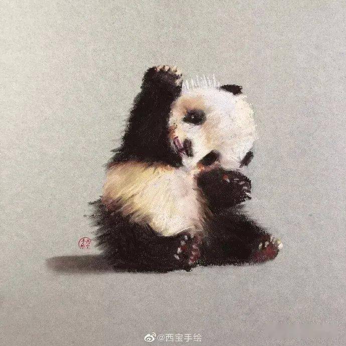 彩铅动物画教程彩铅画动物小熊猫及步骤图