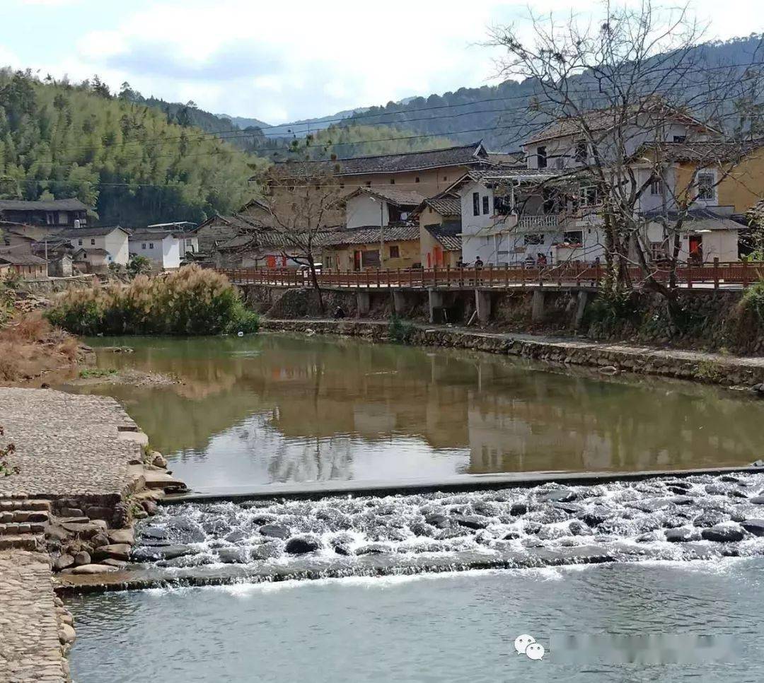 南靖:粉梅正浓,最美乡村石桥村_梅林村_景点_行程