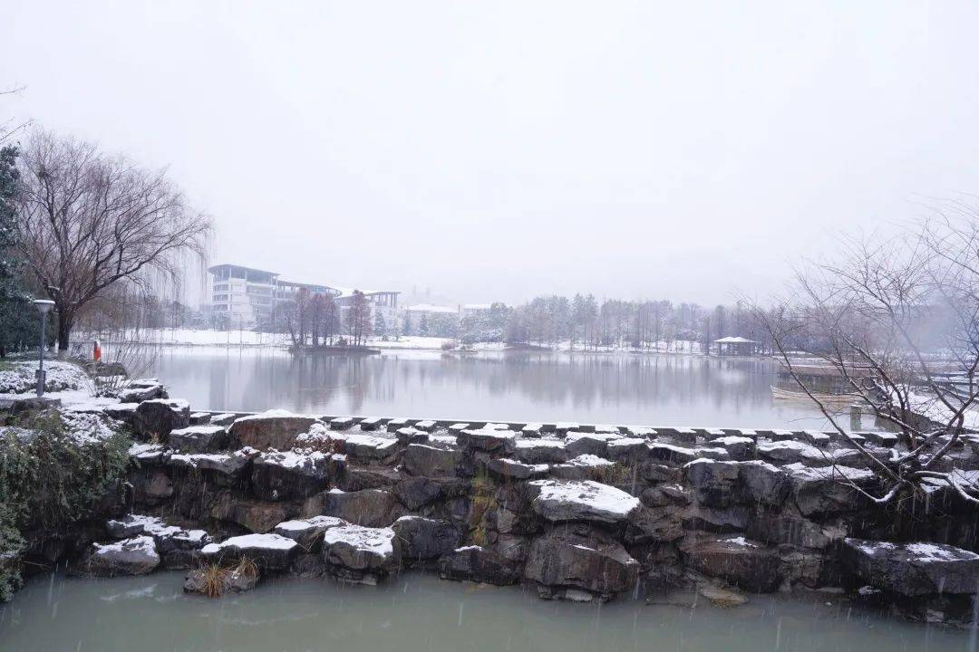 瑞雪兆丰年美不胜收浙江农林大学迎来2022年的第一场雪晶莹剔透了整个