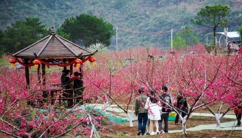 连州桃花节洞河仙境连州地下河诗画走廊湟川三峡千亩桃花园广东峡天下