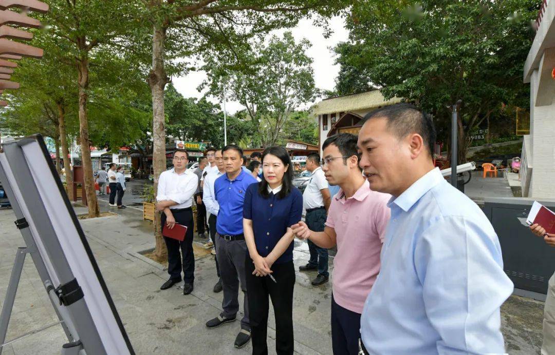 潘国华到吉阳区六盘村调研美丽乡村建设