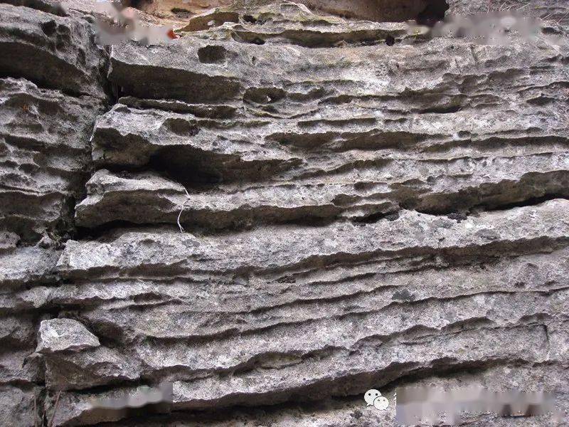 原来,这是由于石林岩石中化学物质的不同,在风化和溶蚀演化过程中形成