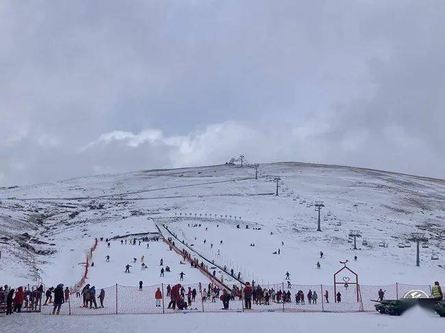 滑雪_陈飞_雪地