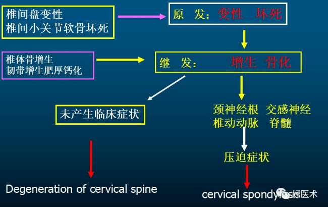 定义颈椎病颈椎的旋转,移位,尤其第1,2段,极易损伤椎动脉,引起椎动脉