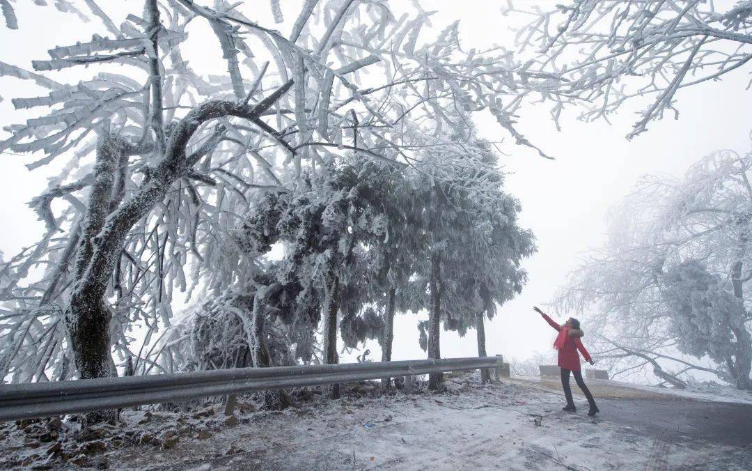 76 峰山↓↓↓小伙伴们的朋友圈各地的雪景雾凇刷爆了赣南大地银装