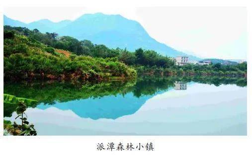 百年征程英雄广州派潭森林小镇用绿色谱写乡村振兴新篇章
