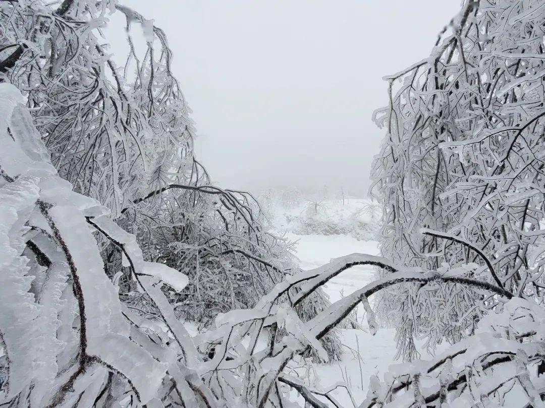 桂林雪景惊艳全国!_龙胜县_黄花岭_全州