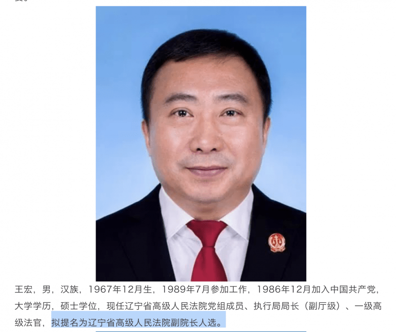 不过,王宏最终没有成为辽宁省高院副院长.