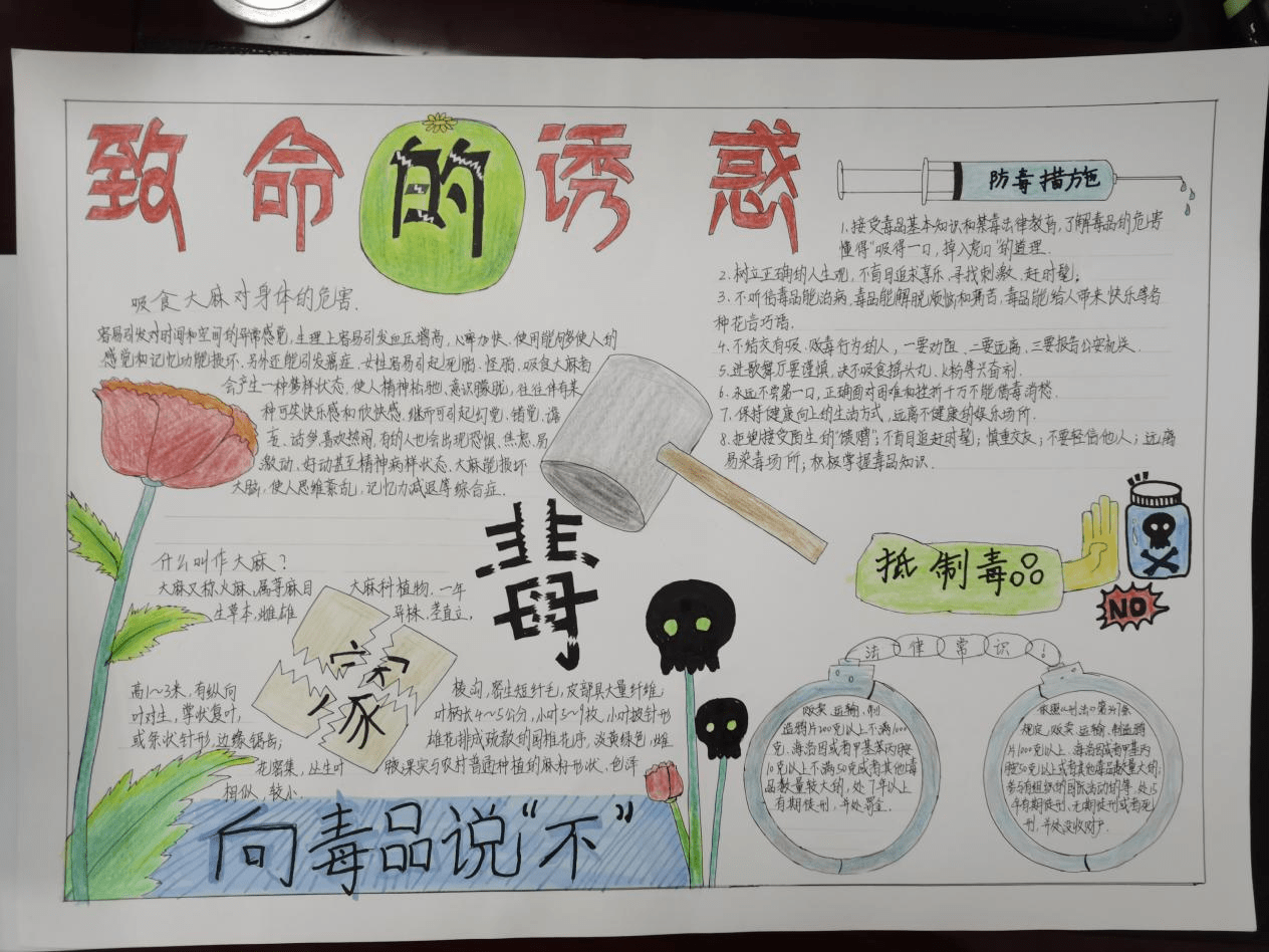学生制作的禁毒手抄报.