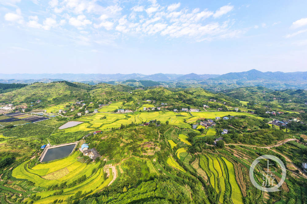 建设成渝乡村旅游目的地北碚发布5条踏青赏花精品线路