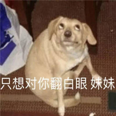 732eca116e714e669582fd8e285c2272.jpeg