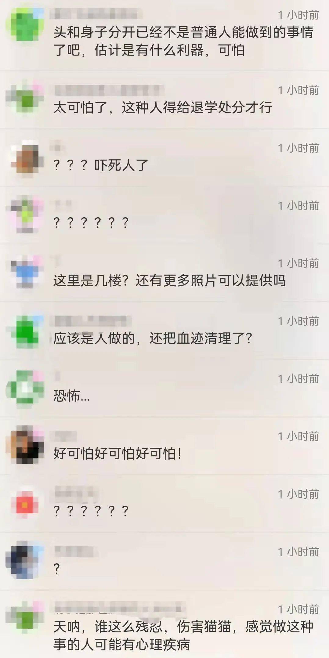 广大教学楼惊现猫尸后续真相来了