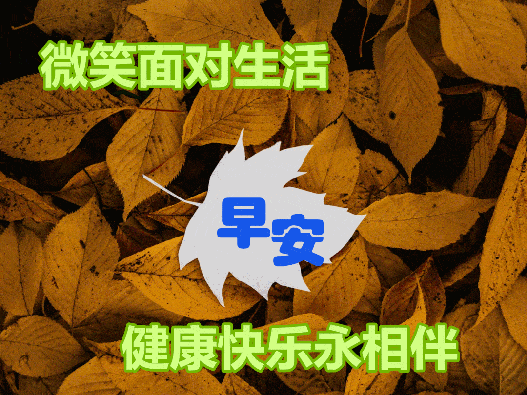 日最漂亮早上好动态表情图片大全,早晨好动图美图大全_祝福_生活_人生