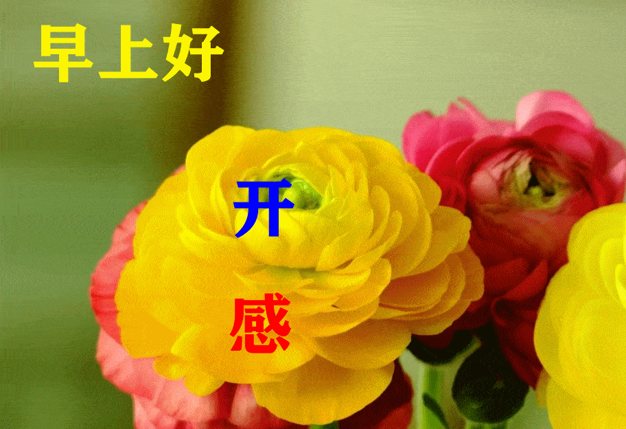 3月9日最漂亮早上好动态表情图片大全早上好动图美图大全