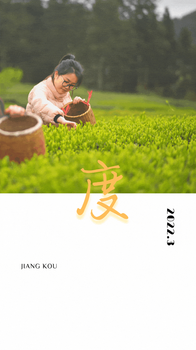 梵净山_发展_空气
