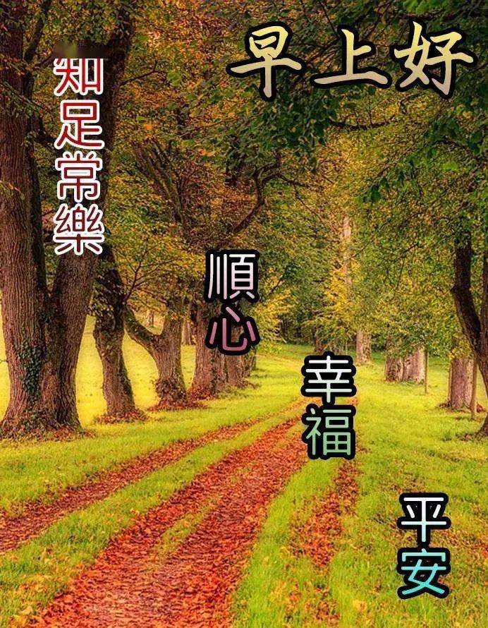 微信群发温馨的最新早安祝福语大全_生活_向日葵_好运