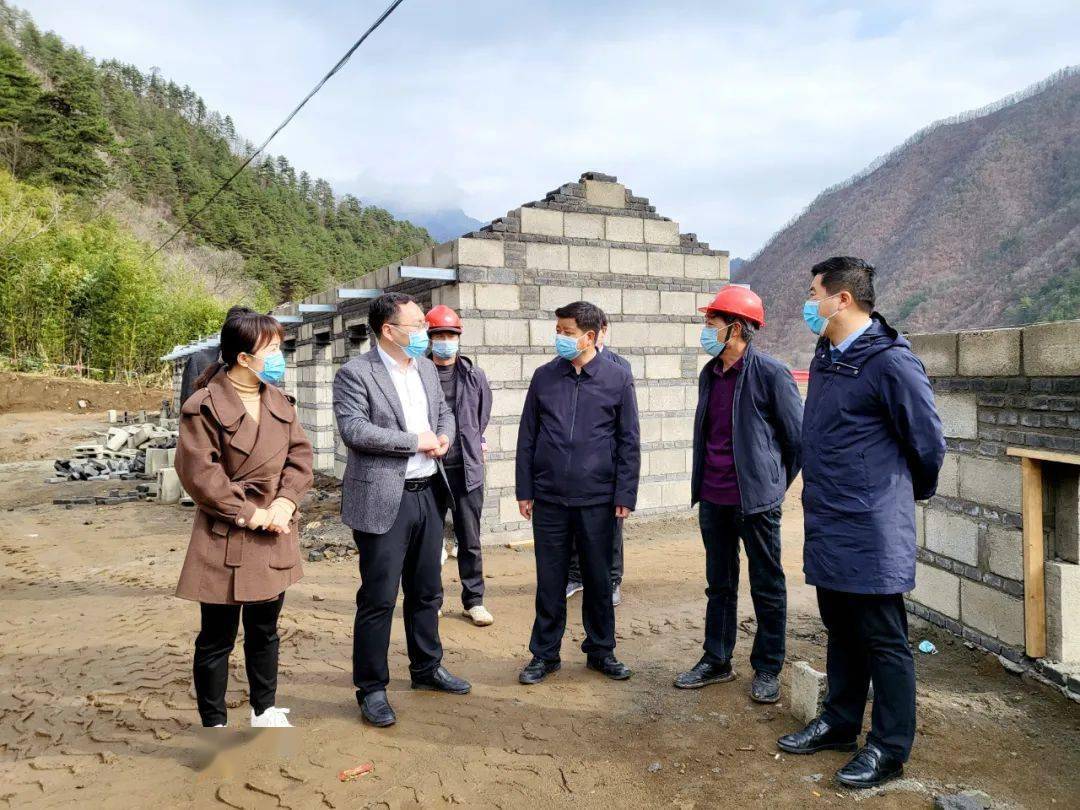 县委书记张建科调研指导太白河镇,王家堎镇疫情防控及当前重点工作