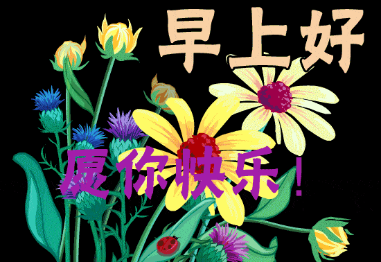 66个早上好问候鲜花图