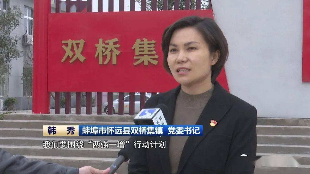 【榜样】韩秀:心有为民情怀 行有实干担当(上)_双桥集镇_怀远县_蚌埠