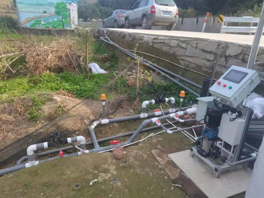 7676南安市雨丰家庭农场蔡福东表示,农场大田种植的越冬马铃薯极