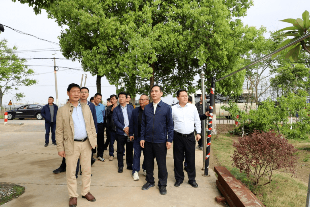 黄勇调研乡村振兴和全域国土综合整治工作_农村_沙市区_黄勇