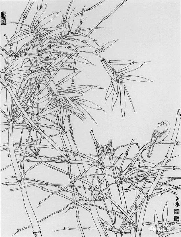 线描竹子画稿简洁雅致