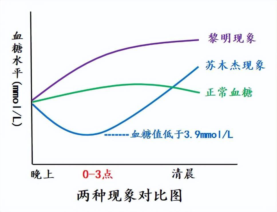 空腹血糖高提防黎明现象和苏木杰现象