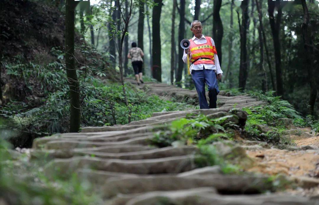 清水溪步道,风临口袋公园,清水溪步道…这个五一,南岸竟然有这么多