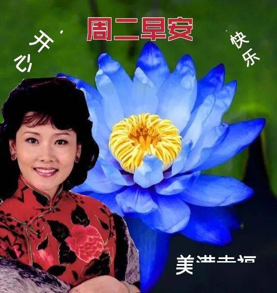 5月3日最新周二早上好动态表情图片大全春天早上好问候语句子