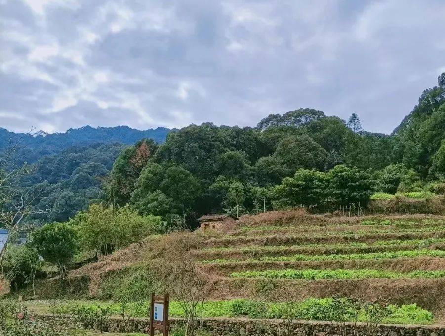 地址:广东省广州市从化良口镇交通:华南快速→京珠高速→街北高速