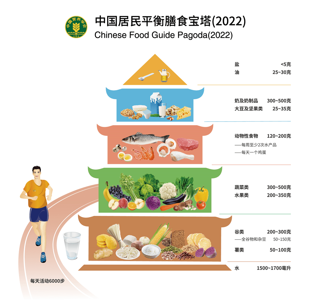 全民营养周新版中国居民平衡膳食宝塔2022解读