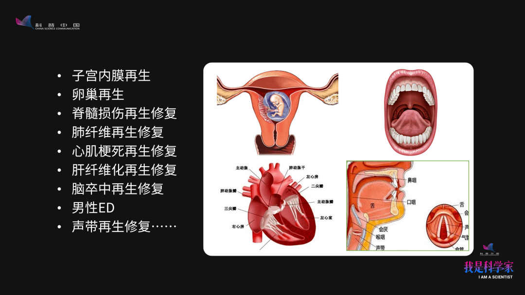 器官坏了还能修"人体4s店"正在变成现实!_再生_损伤_脊髓