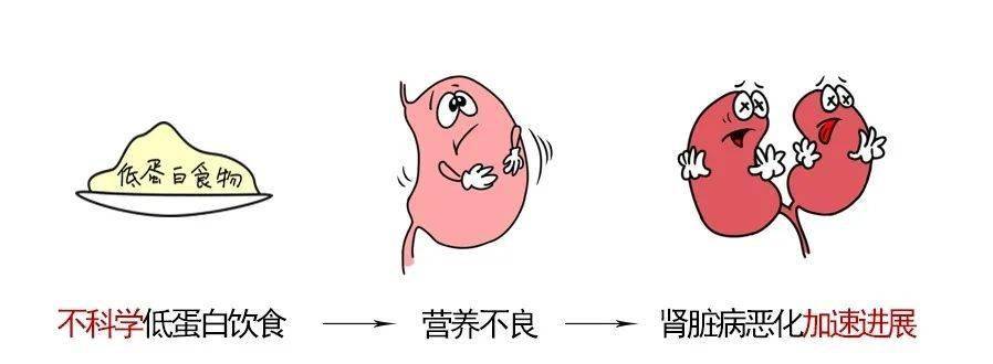 赞这个学习班一对一指导教肾友学习管理肾病的方法