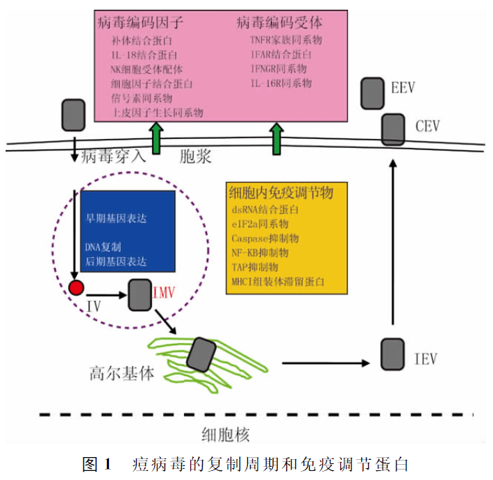 景志忠,贾怀杰,周涛中国农业科学院贾菔抟窖芯克,家畜疫病病原生物