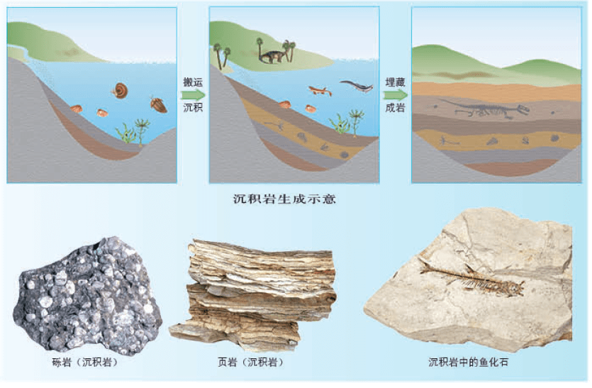 2022高考地理热点系列之地球的内部圈层结构,内力作用与岩石圈的物质