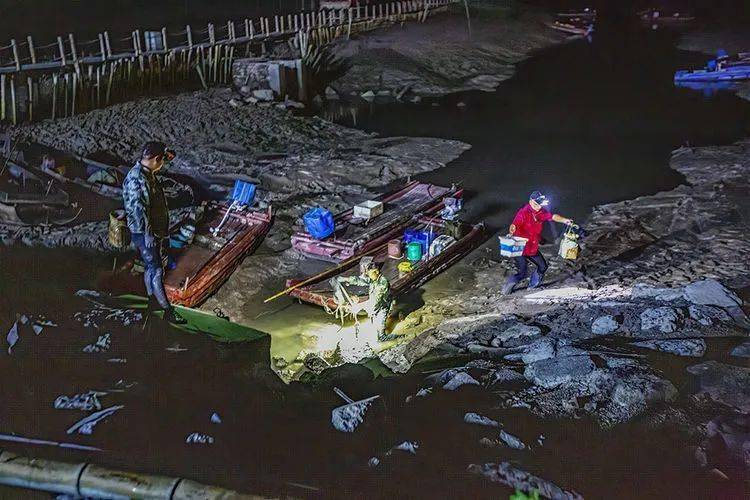 白国璋:跟着赶海人照望潮_海涂_西沪港_洞口