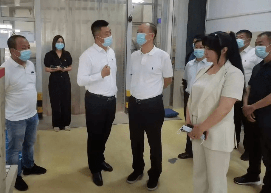 区领导到下仓镇上仓镇调研