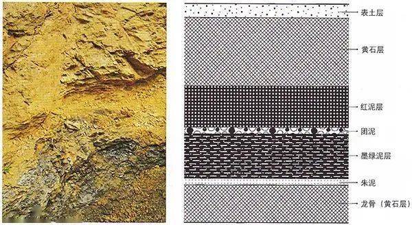 该矿层主要位于黄龙山宝山矿区东面浅表层,是红泥,墨绿泥,朱泥,团泥