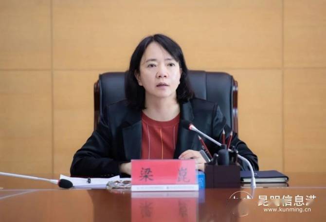 会上,区党工委书记梁崑传达了全市2022年上半年经济