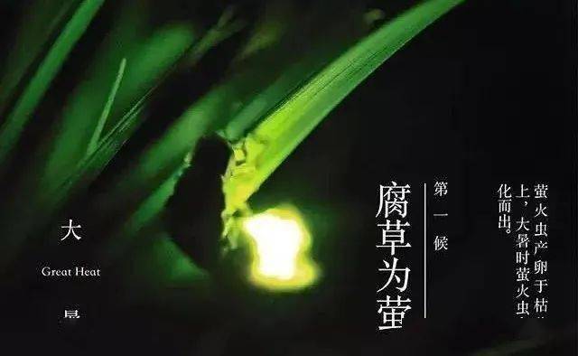 在节气里遇见夏天(组诗)_雨水_大地_村民