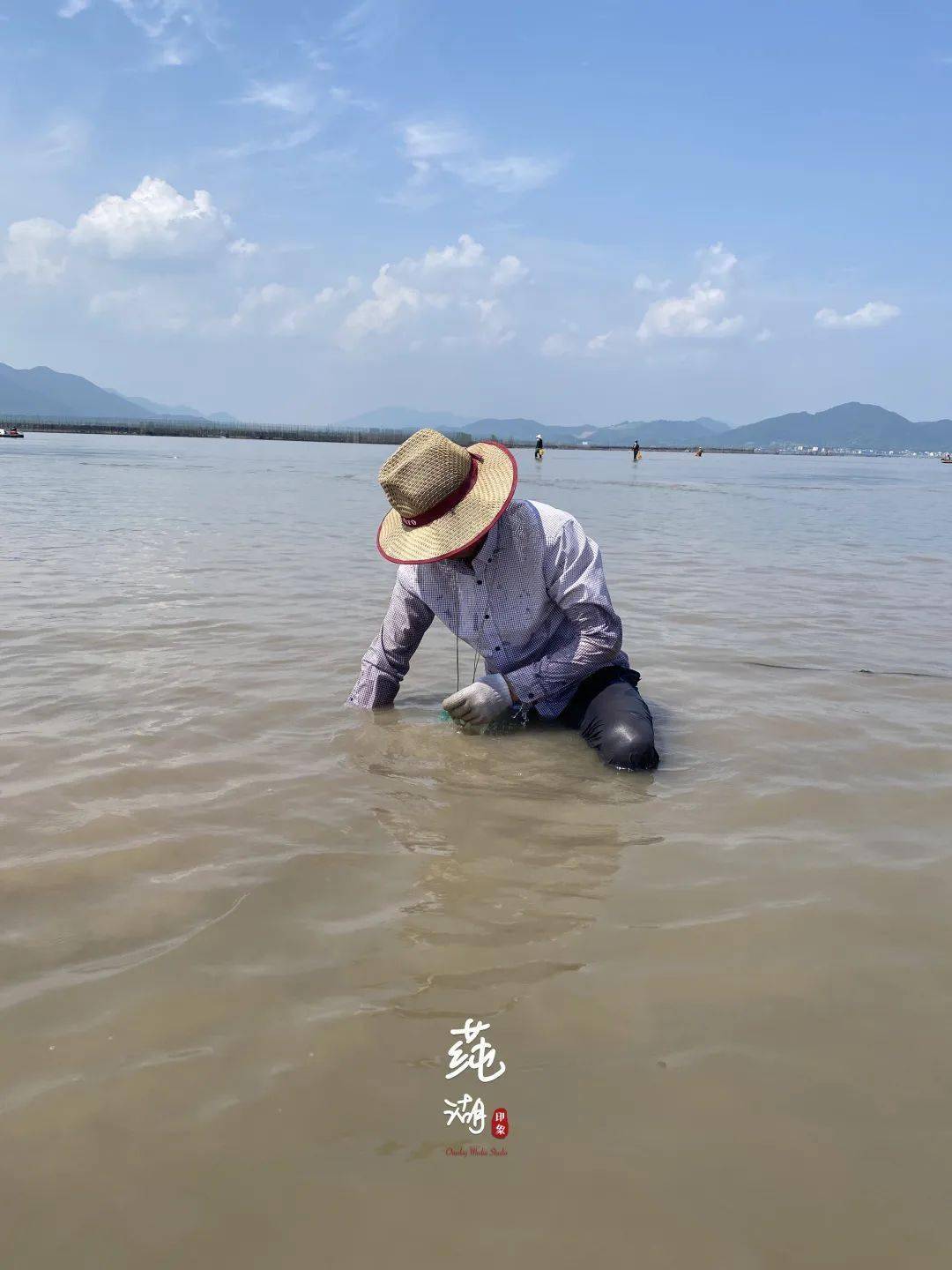 乘风破浪的7月,一起去莼湖赶海吧!_海水_沙滩_贝类