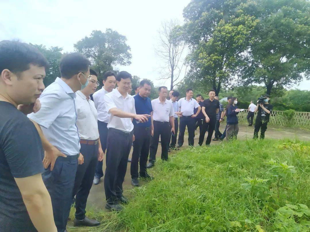 7月5日,市政协副主席黄锋带领市政协民主评议组赴宁乡市,望城区调研我