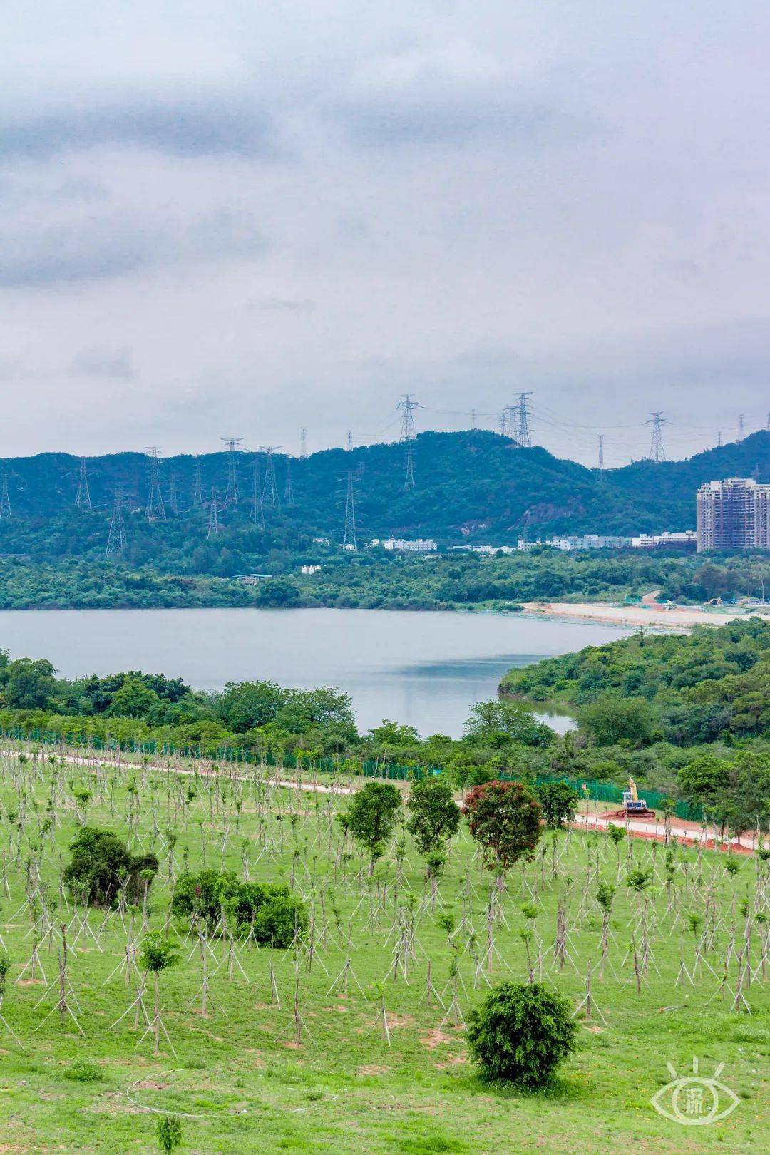 深圳5个高颜值绿道,超美_水库_海贝_大水坑